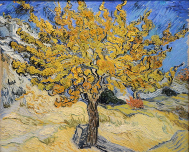 VincentVanGogh_TheMulberryTreeinAutumn_France artists at the Norton Simon_gscinparis