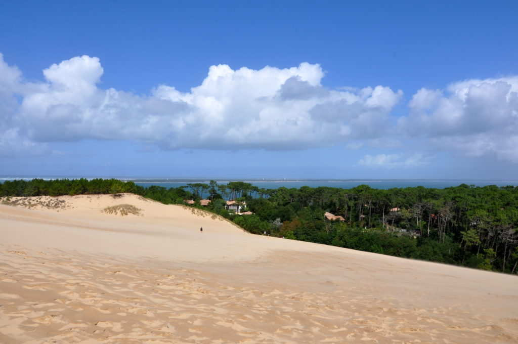 Sand Dunes, France, shutterstock, gscinparis