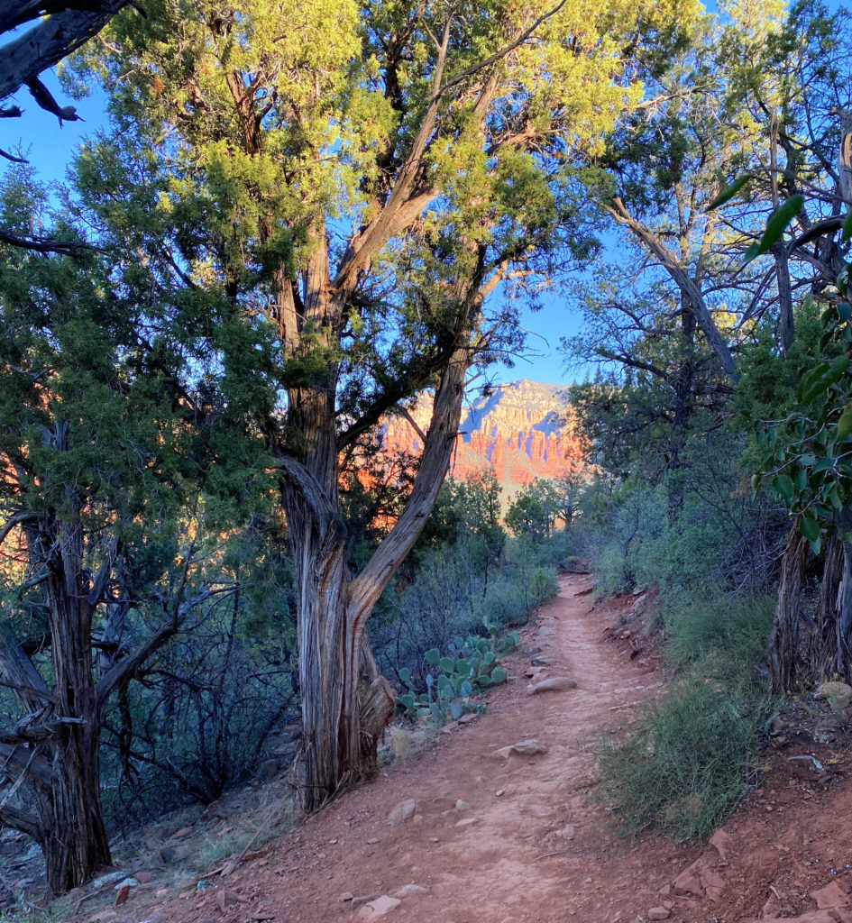 Trail along the Vortex in Sedona, Arizona