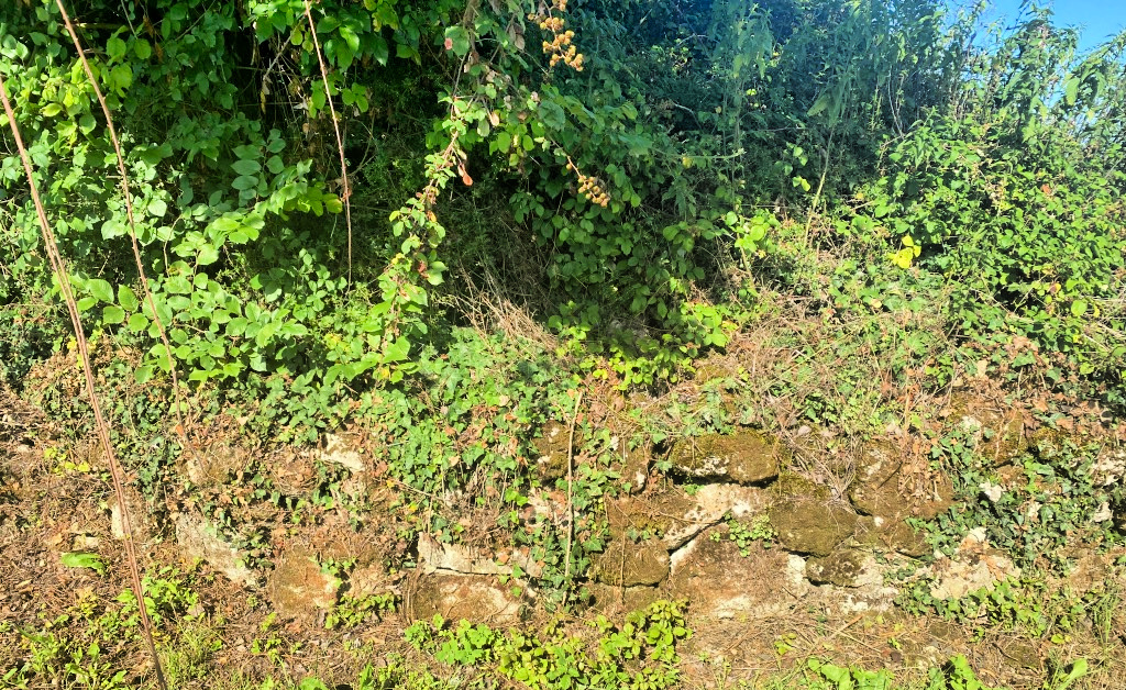 Wall from the 1400's at Chateau Balestard de la Tonelle gscinparis