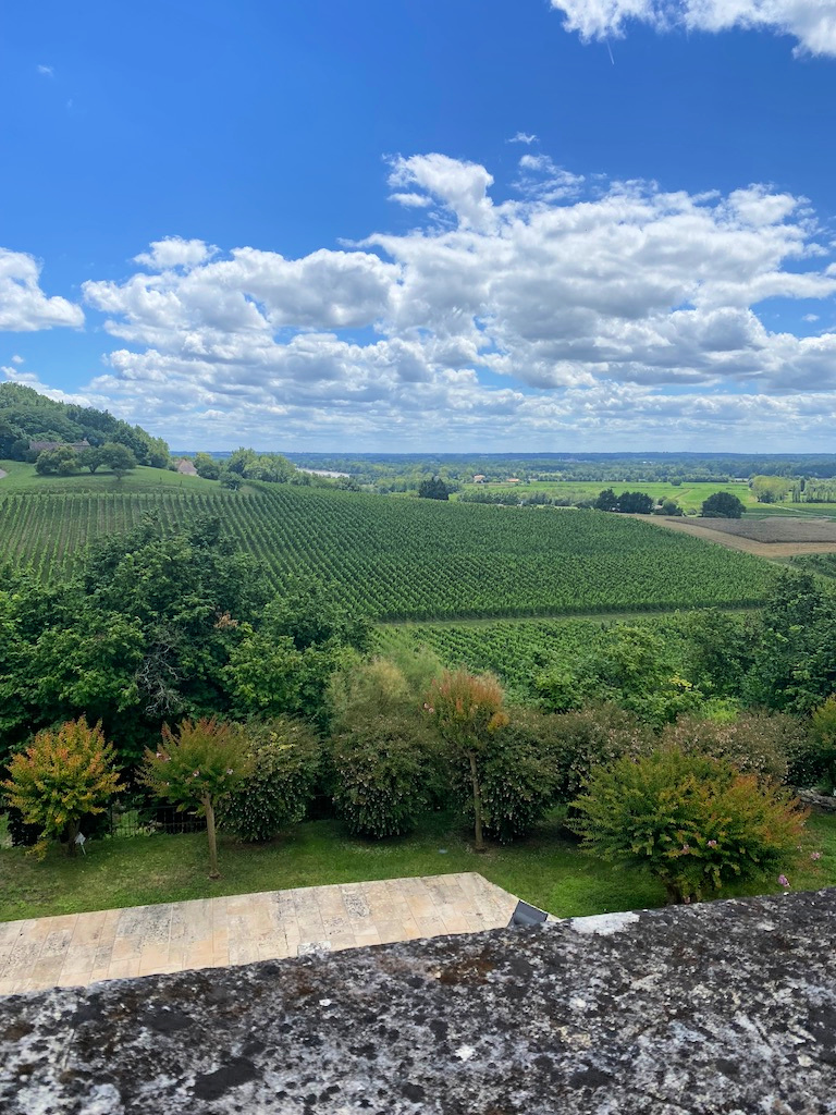 View from Chateau de la Rivière