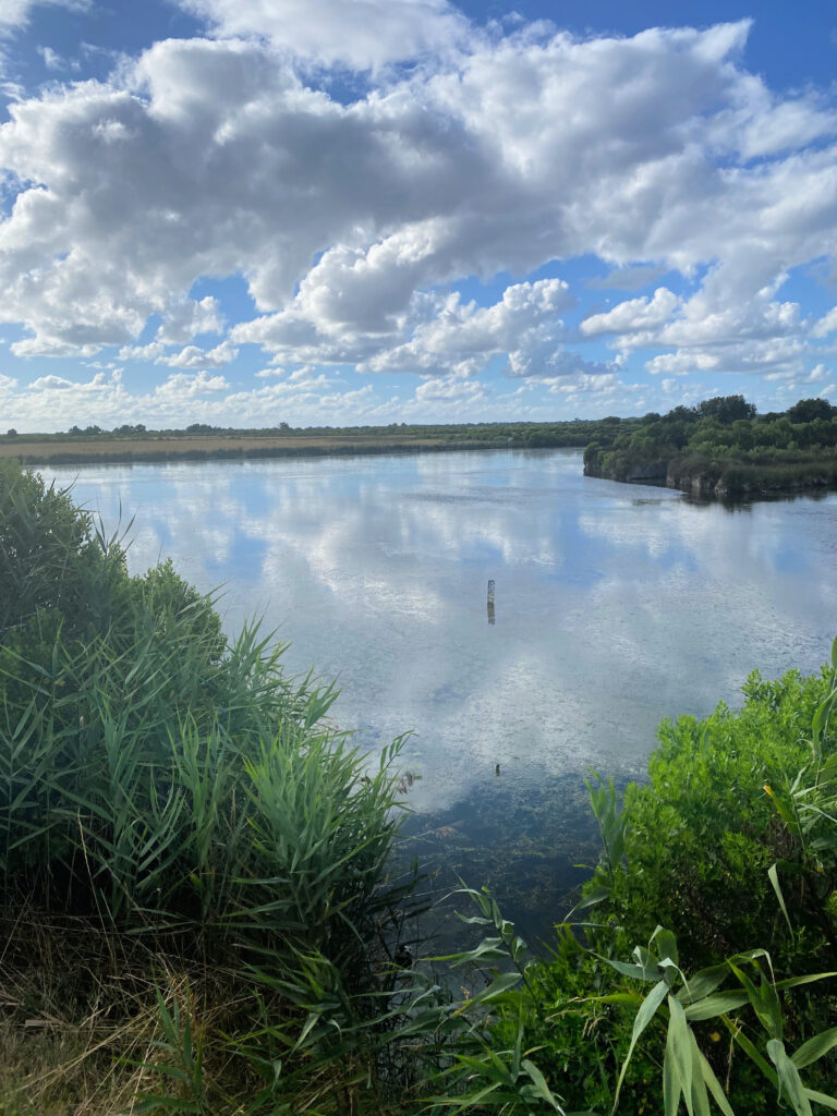 View of the marsh in Audenge, France gscinparis