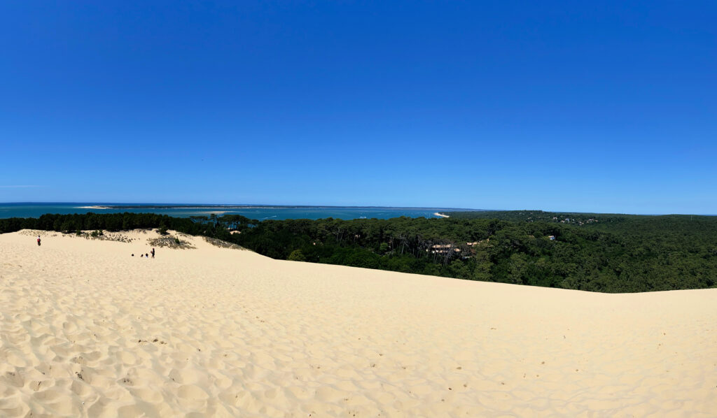 View from the top of the Dune du Pilat gscinparis