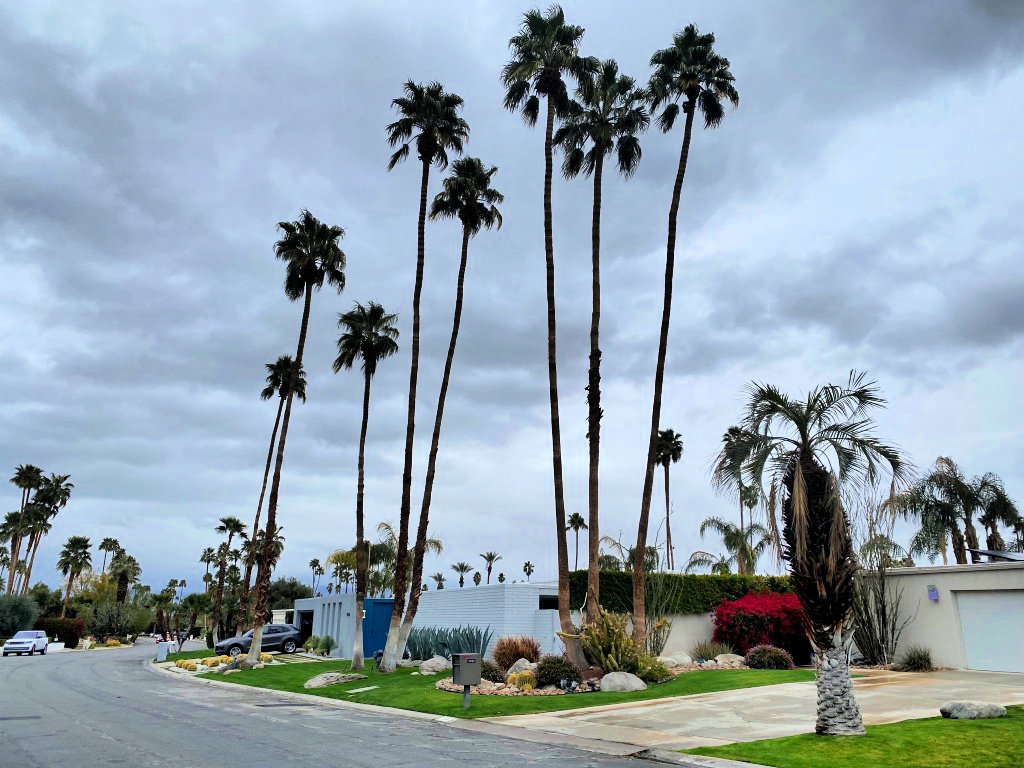 Palm trees and low slung homes for the perfect mid-century vibe gscinparis