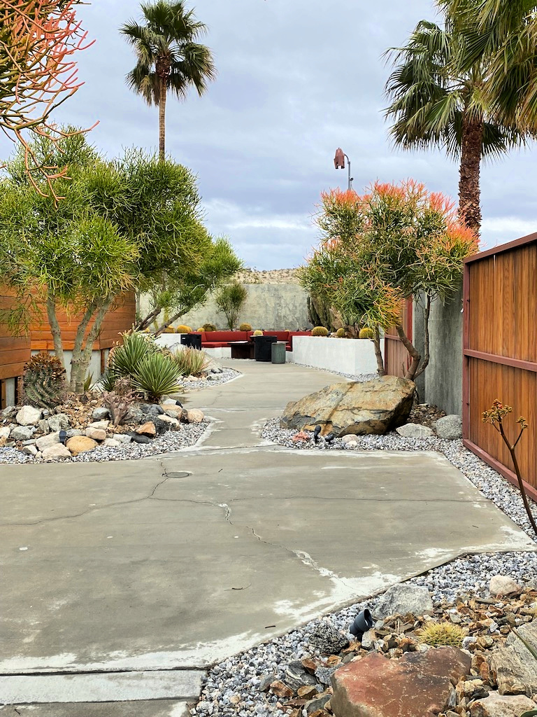 Beautiful desert landscaping at the Lautner Compound in Desert Hot Springs, CA gscinparis