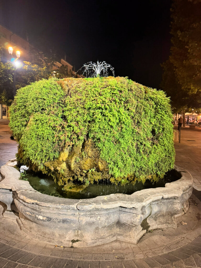 Fontaine Mossue (Mossy Fountain), Aix-en-Provence, South of France (copyright gscinparis, LLC)