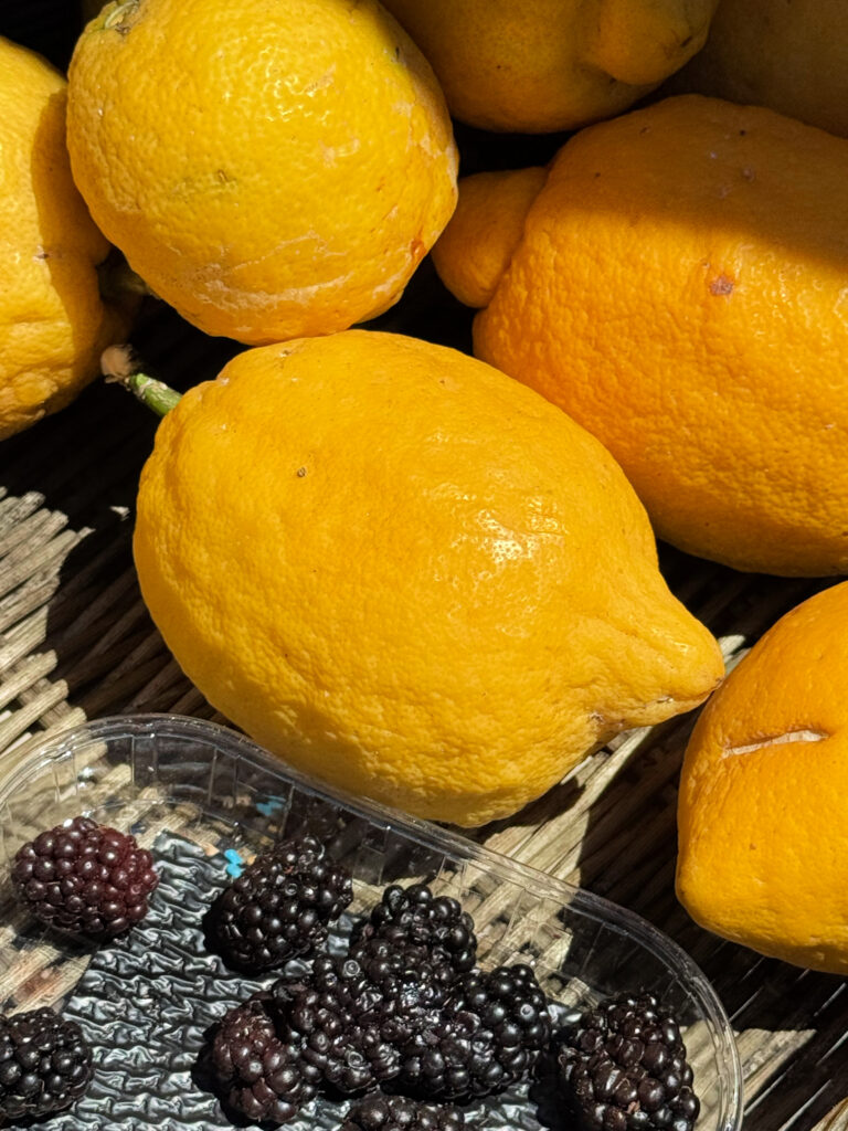 Menton is known for its lemons!