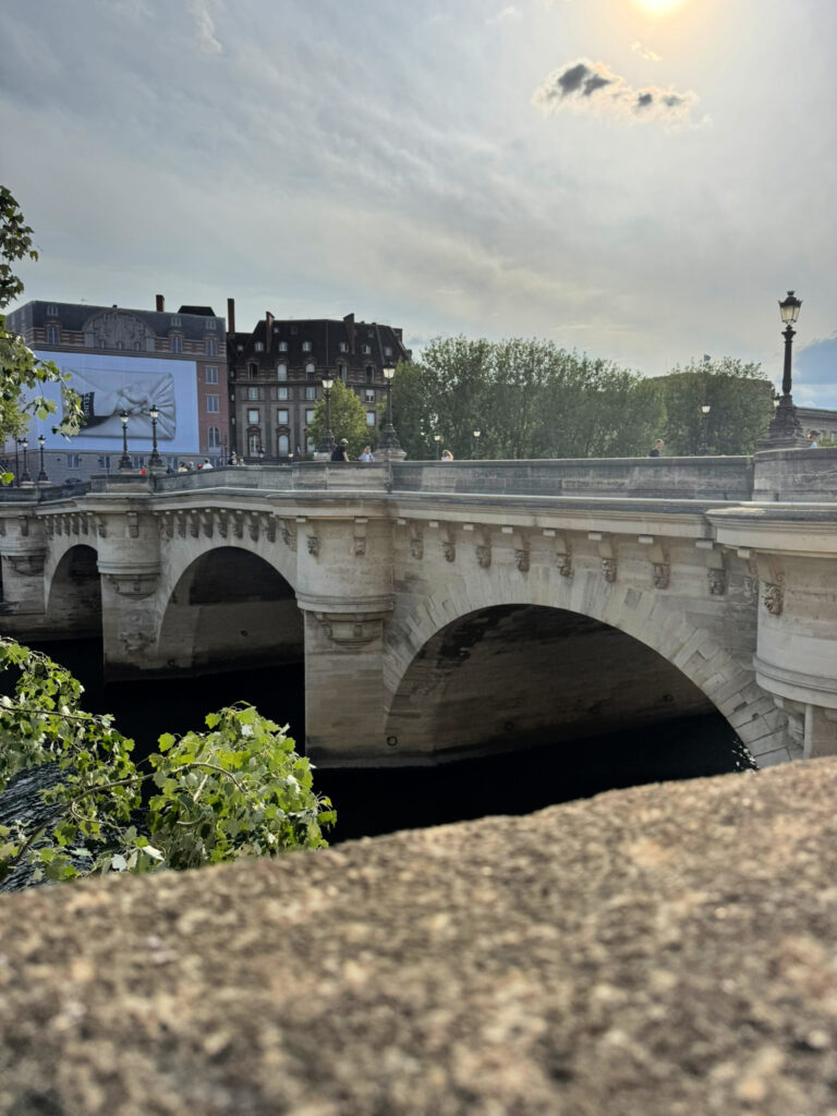 Pont Neuf, Île de la Cité, Paris, France (copyright, gscinparis, LLC)