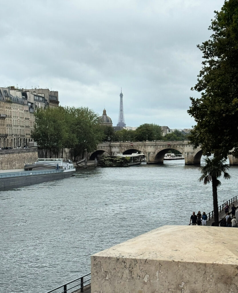 Eiffel Tower View from the Île de la Cité, Paris (copyright, gscinparis, LLC)