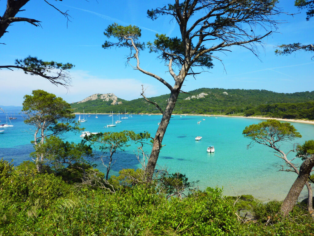 Porquerolles Island, South of France
