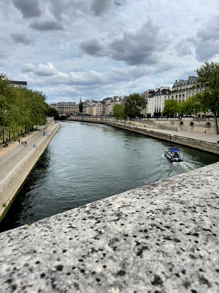 View of the Seine from the Pont Neuf (copyright gscinparis, LLC)