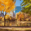 Insider Picks for the perfect Boston Weekend