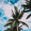 Insider Picks for Hotels Under $500 in Miami